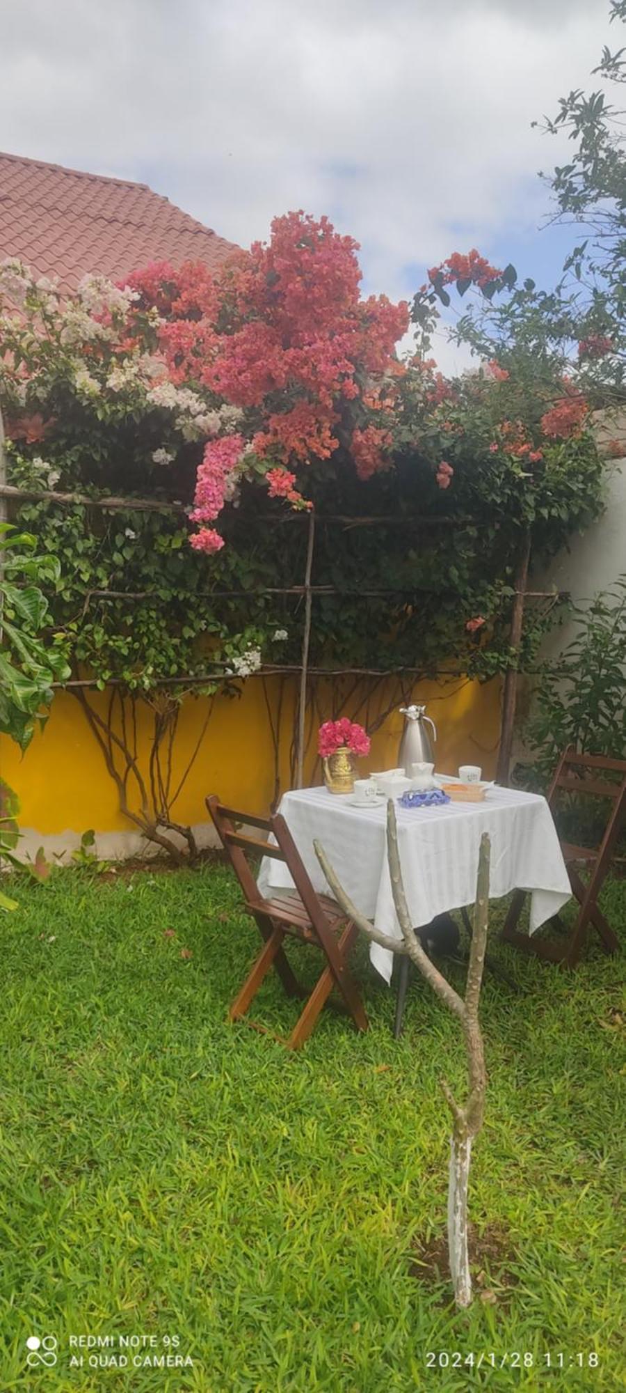Quinta Rosita Ticul Exterior foto