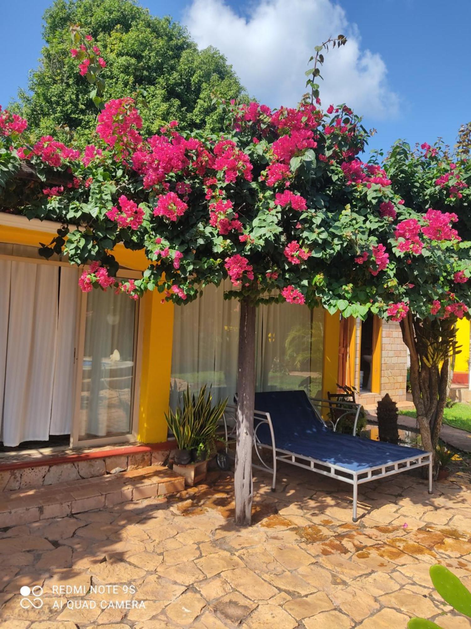 Quinta Rosita Ticul Exterior foto