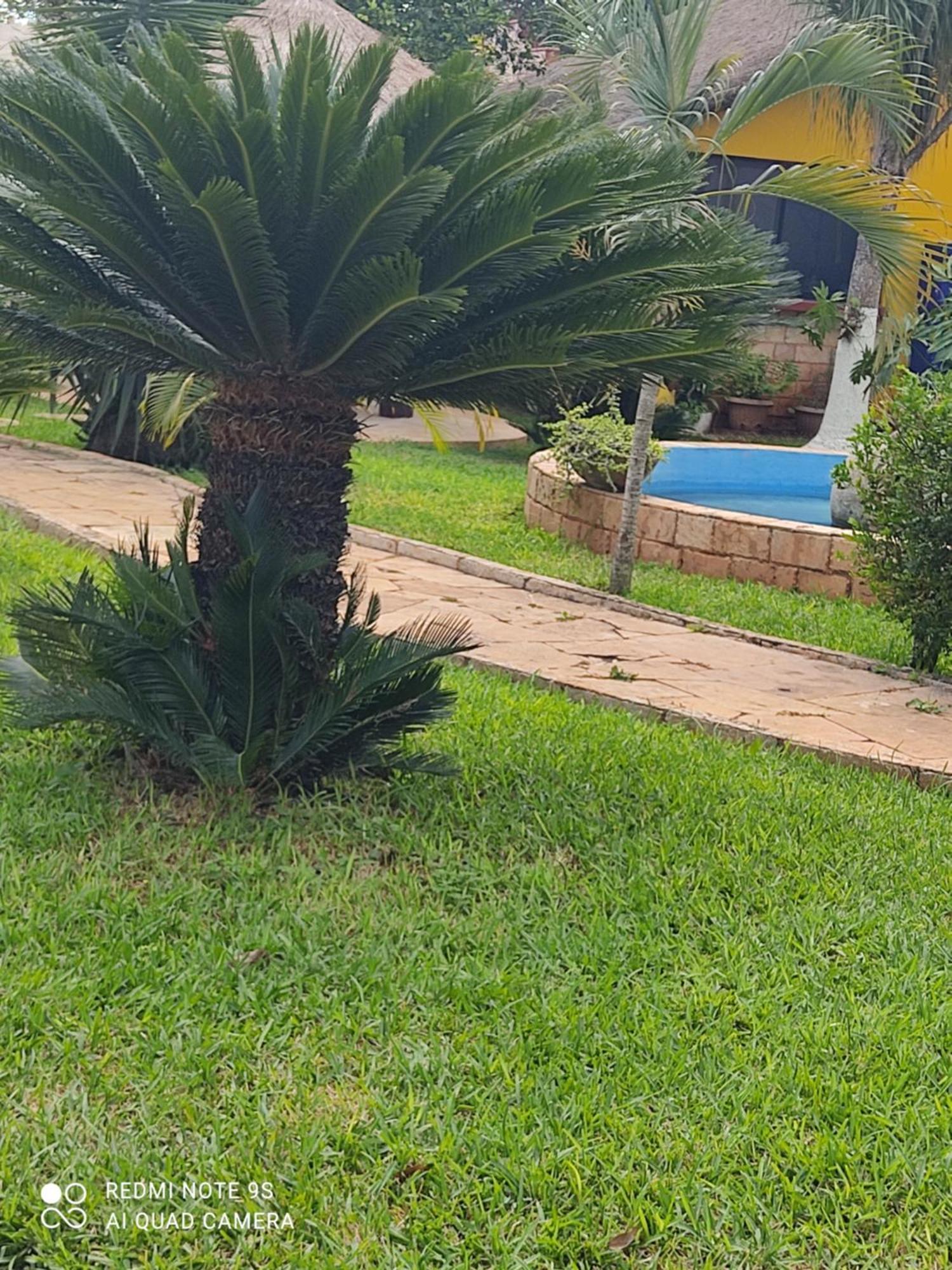 Quinta Rosita Ticul Exterior foto